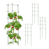 Plantensteun / Klimplantensteun / Tomatensteun / 91 cm / set van 4